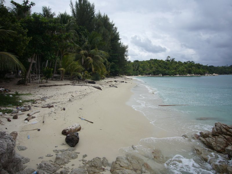Tropical looking beach